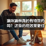 猫咪猫癣真的有特效药吗?这些药物效果更佳(图2) 猫咪猫癣真的有特效药吗?这些药物效果更佳(图2)
