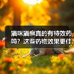 猫咪猫癣真的有特效药吗?这些药物效果更佳(图3) 猫咪猫癣真的有特效药吗?这些药物效果更佳(图3)