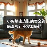 小狗螨虫皮肤病怎么彻底治愈?不复发秘籍(图1) 小狗螨虫皮肤病怎么彻底治愈?不复发秘籍(图1)