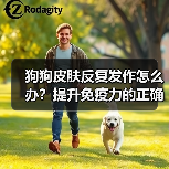 狗狗皮肤反复发作怎么办?提升免疫力的正确方法(图2) 狗狗皮肤反复发作怎么办?提升免疫力的正确方法(图2)