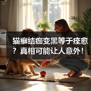 猫癣结痂变黑等于痊愈?真相可能让人意外!(图1) 猫癣结痂变黑等于痊愈?真相可能让人意外!(图1)
