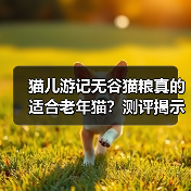 猫儿游记无谷猫粮真的适合老年猫？测评揭示真相（图2）