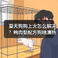 夏天狗狗上火怎么解决?鸭肉梨配方狗粮清热降火效果如何?(图1) 夏天狗狗上火怎么解决?鸭肉梨配方狗粮清热降火效果如何?(图1)