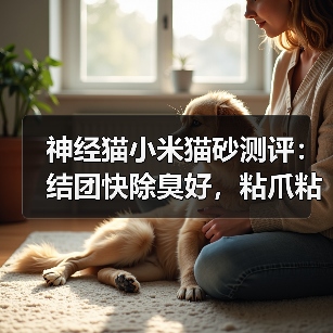 神经猫小米猫砂测评:结团快除臭好,粘爪粘底如何应对?(图2) 神经猫小米猫砂测评:结团快除臭好,粘爪粘底如何应对?(图2)