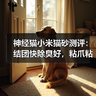 神经猫小米猫砂测评:结团快除臭好,粘爪粘底如何应对?(图3) 神经猫小米猫砂测评:结团快除臭好,粘爪粘底如何应对?(图3)