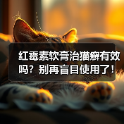 红霉素软膏治猫癣有效吗?别再盲目使用了!(图2) 红霉素软膏治猫癣有效吗?别再盲目使用了!(图2)