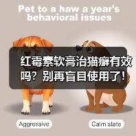 红霉素软膏治猫癣有效吗?别再盲目使用了!(图4) 红霉素软膏治猫癣有效吗?别再盲目使用了!(图4)