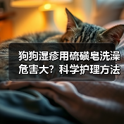 狗狗湿疹用硫磺皂洗澡危害大？科学护理方法揭秘（图2）