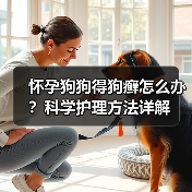 怀孕狗狗得狗癣怎么办？科学护理方法详解（图1）