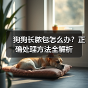 狗狗长脓包怎么办?正确处理方法全解析(图1) 狗狗长脓包怎么办?正确处理方法全解析(图1)