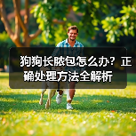 狗狗长脓包怎么办?正确处理方法全解析(图4) 狗狗长脓包怎么办?正确处理方法全解析(图4)