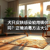 犬只皮肤感染能用碘伏吗？正确消毒方法大公开（图4）