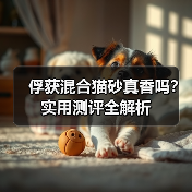 俘获混合猫砂真香吗？实用测评全解析（图4）