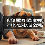 狗狗频繁啃毛到底为何?科学应对方法全解析(图2) 狗狗频繁啃毛到底为何?科学应对方法全解析(图2)