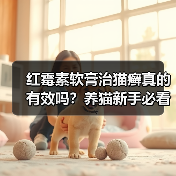 红霉素软膏治猫癣真的有效吗？养猫新手必看（图2）