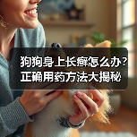 狗狗身上长癣怎么办？正确用药方法大揭秘（图2）