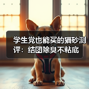 学生党也能买的猫砂测评：结团除臭不粘底