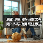 恩诺沙星治狗癣效果有限？科学使用需注意这些要点（图4）