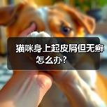 猫咪身上起皮屑但无癣怎么办？（图2）
