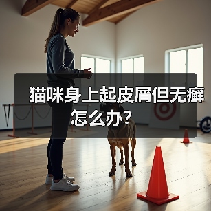 猫咪身上起皮屑但无癣怎么办？（图1）