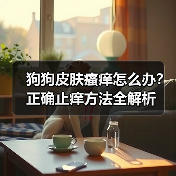 狗狗皮肤瘙痒怎么办？正确止痒方法全解析（图4）