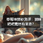 草莓味猫砂测评:猫咪粑粑竟然有果香?(图4) 草莓味猫砂测评:猫咪粑粑竟然有果香?(图4)