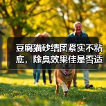 豆腐猫砂结团紧实不粘底,除臭效果佳是否适合懒人?(图3) 豆腐猫砂结团紧实不粘底,除臭效果佳是否适合懒人?(图3)
