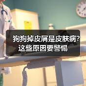 狗狗掉皮屑是皮肤病？这些原因要警惕（图3）
