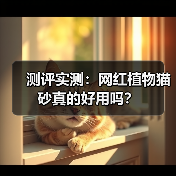 测评实测:网红植物猫砂真的好用吗?(图2) 测评实测:网红植物猫砂真的好用吗?(图2)