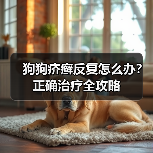 狗狗疥癣反复怎么办？正确治疗全攻略（图1）