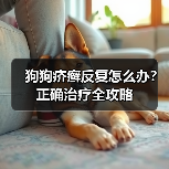 狗狗疥癣反复怎么办？正确治疗全攻略（图3）