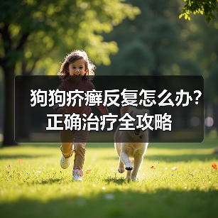 狗狗疥癣反复怎么办？正确治疗全攻略（图4）