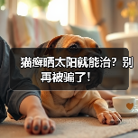 猫癣晒太阳就能治？别再被骗了！（图3）