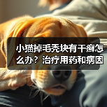 小猫掉毛秃块有干癣怎么办？治疗用药和病因排查（图1）