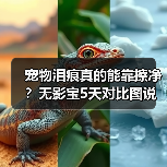 宠物泪痕真的能靠擦净？无影宝5天对比图说话（图4）