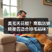 美毛天花板?高脂肪猫粮是否适合掉毛猫咪?(图4) 美毛天花板?高脂肪猫粮是否适合掉毛猫咪?(图4)