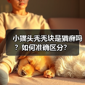 小猫头秃秃块是猫癣吗？如何准确区分？（图3）