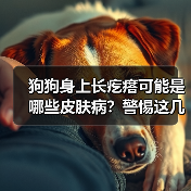 狗狗身上长疙瘩可能是哪些皮肤病？警惕这几种常见情况（图3）