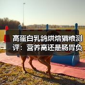 高蛋白乳鸽烘焙猫粮测评：营养高还是肠胃负担？（图4）