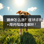猫癣怎么治？症状诊断+用药指南全解析！（图2）