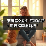 猫癣怎么治？症状诊断+用药指南全解析！（图1）