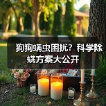 狗狗螨虫困扰？科学除螨方案大公开（图1）