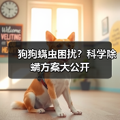 狗狗螨虫困扰？科学除螨方案大公开（图3）