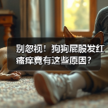 别忽视！狗狗屁股发红瘙痒竟有这些原因？（图4）