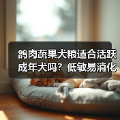 鸽肉蔬果犬粮适合活跃成年犬吗?低敏易消化测评(图2) 鸽肉蔬果犬粮适合活跃成年犬吗?低敏易消化测评(图2)