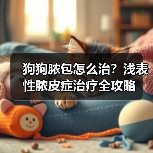 狗狗脓包怎么治？浅表性脓皮症治疗全攻略（图2）
