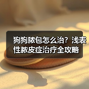 狗狗脓包怎么治？浅表性脓皮症治疗全攻略（图3）