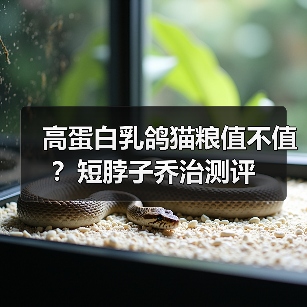高蛋白乳鸽猫粮值不值？短脖子乔治测评（图2）
