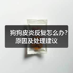 狗狗皮炎反复怎么办？原因及处理建议（图1）
