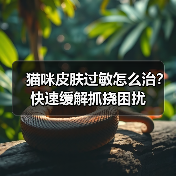 猫咪皮肤过敏怎么治？快速缓解抓挠困扰（图1）